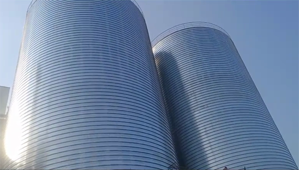 潼南2座混凝土高架卷板仓